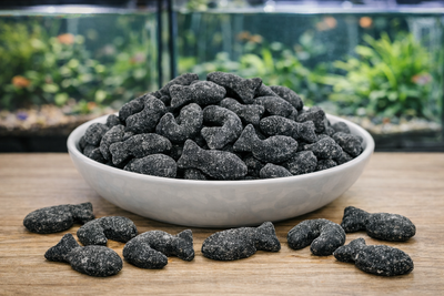 Skandinavische Lakritz – Supersalzige Heringe vor Aquarium – Sweet & Salty 
